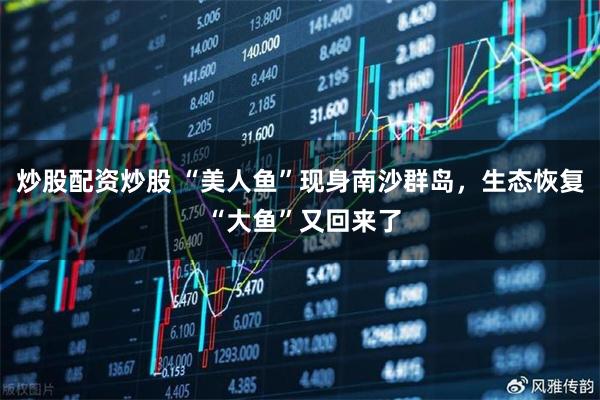 炒股配资炒股 “美人鱼”现身南沙群岛，生态恢复 “大鱼”又回来了