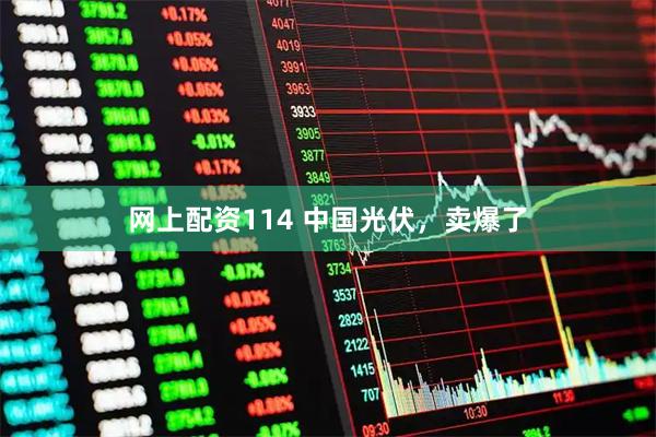 网上配资114 中国光伏，卖爆了
