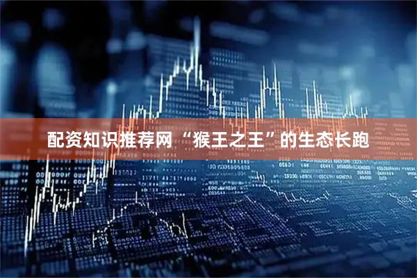 配资知识推荐网 “猴王之王”的生态长跑